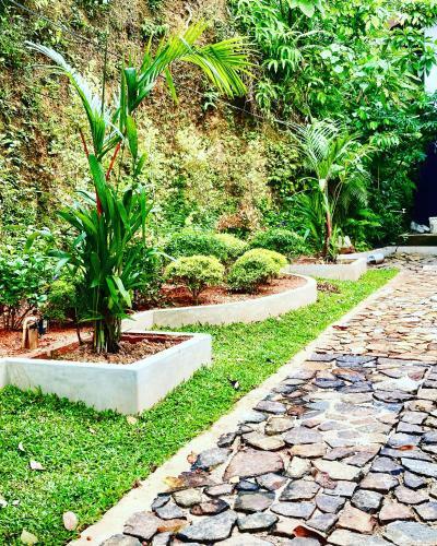 Hotel Green Eco Villa And Reserve