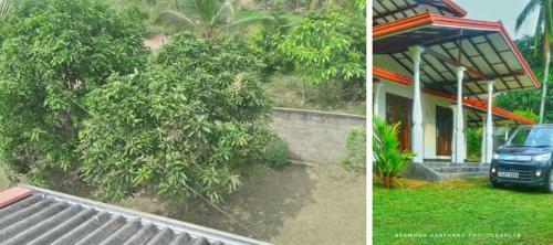 Orchid House
