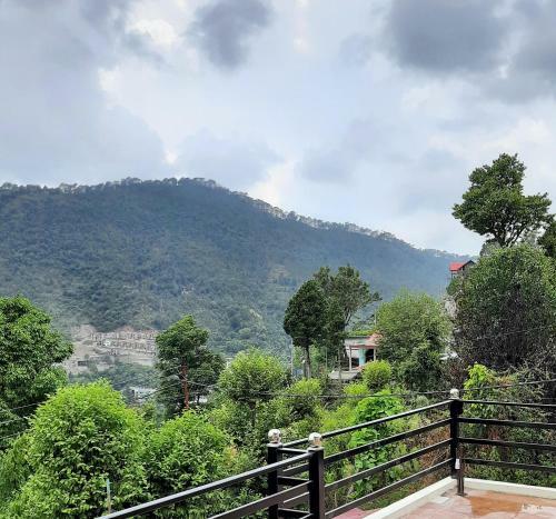 Whitehouse Homestay