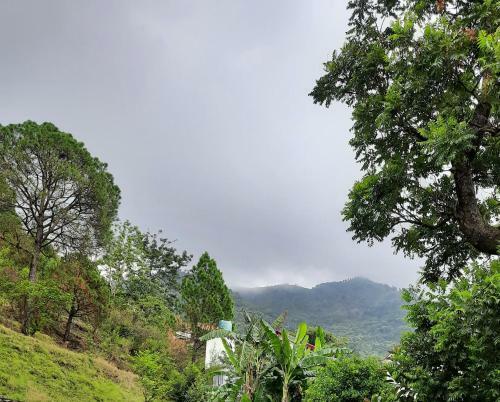Whitehouse Homestay