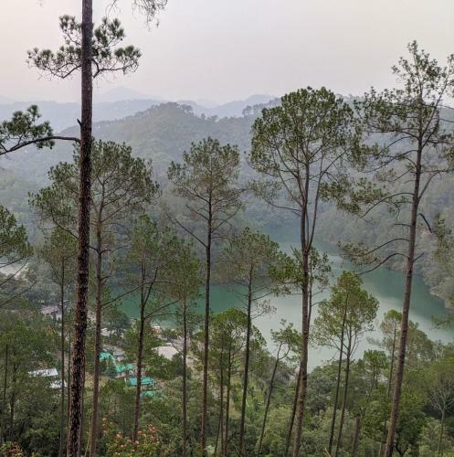 Incredible Birding Camp