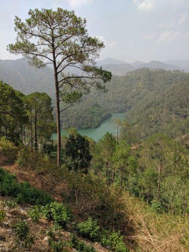 Incredible Birding Camp