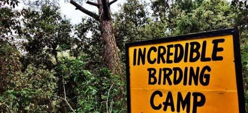 Incredible Birding Camp