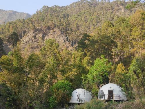 Glamping Tales By The Riverside