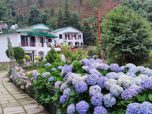 Villa 3bhk Snow White's Cottage