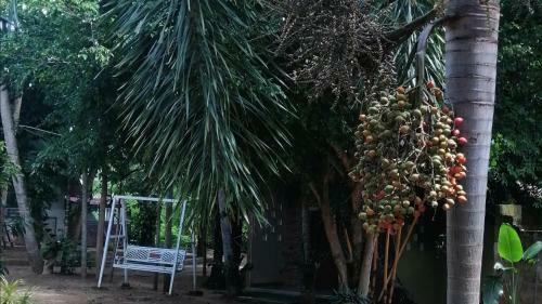 Hotel Lassana Kadella
