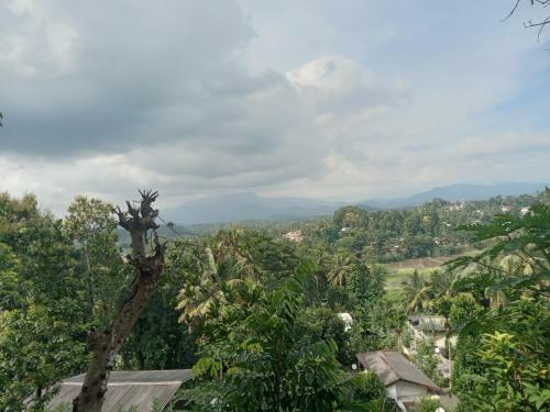 Happy Family Stayhomes Kandy