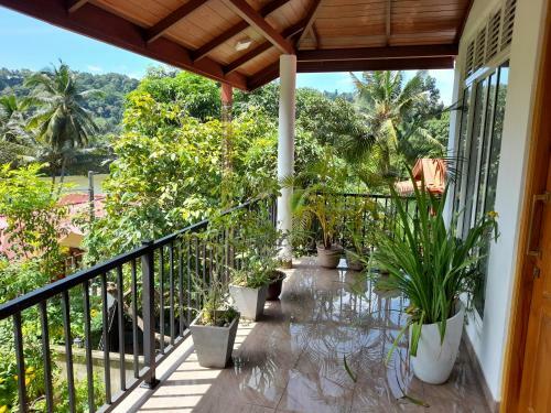 Thiven's Home Stay