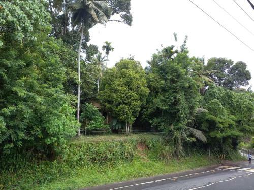 Bed & Breakfast Asiri Homestay