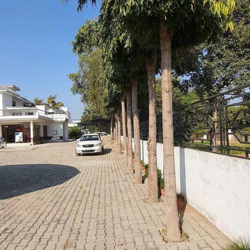 Cheema House 96