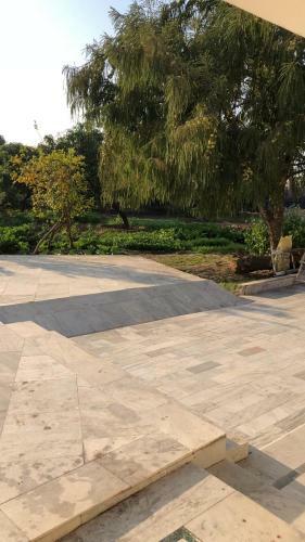 Cheema House 96