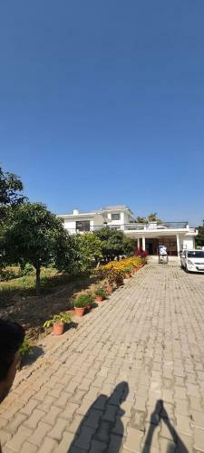 Cheema House 96