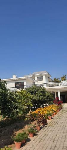 Cheema House 96