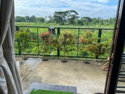 Zoysia Guest House