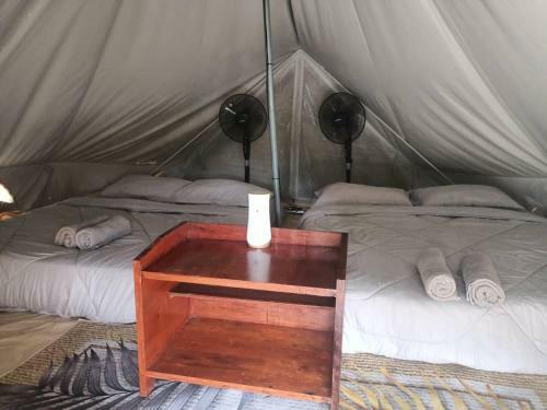 Tok Mat Glamping (tmg)
