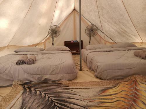 Tok Mat Glamping (tmg)
