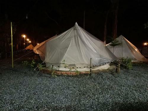 Tok Mat Glamping (tmg)
