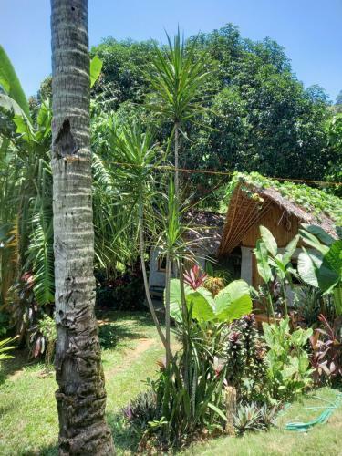 Apartamento Yucca Bungalow Buwan El Nido