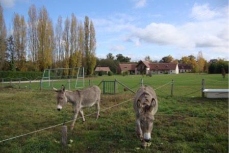 Bed & Breakfast Entre Vignes Et Ch�teaux