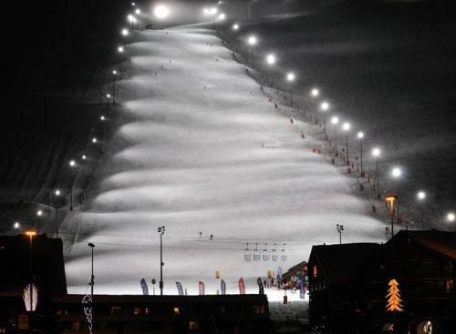 Aparthotel R�sidence Les M�l�zes