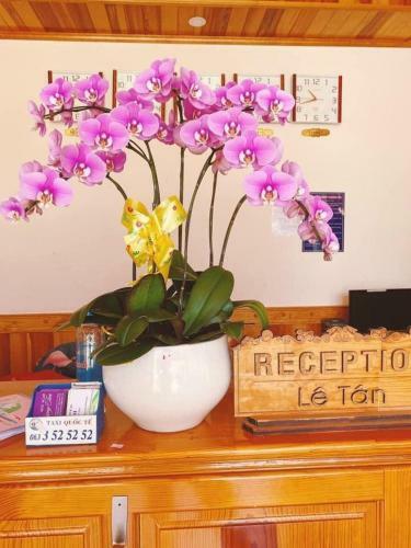 Hostal Nh� Ngh? S�n V??n Ph??ng T�m