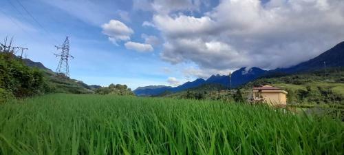 Hotel Koala Sapa Homestay