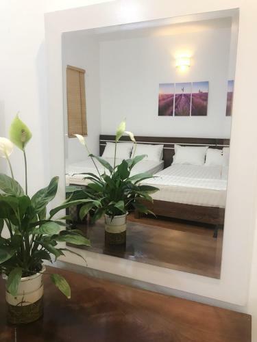 Maichi Premium Apartment Halong