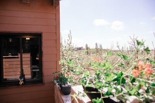 Grand Golan Cabins