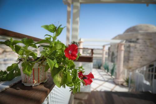 Apartamento Western Wall Luxury House