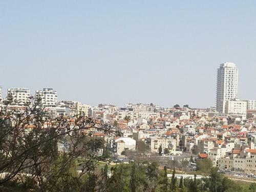 Spring Apartment Bahar Nissim Jerusalem