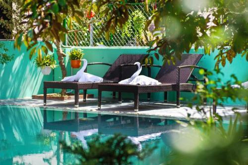 Bed & Breakfast Thien Moc Xanh Villa