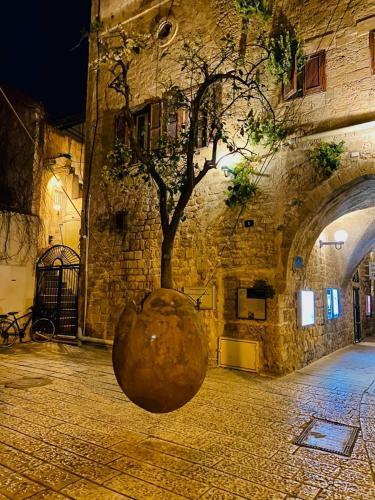 Hostal Jaffa Guesthouse