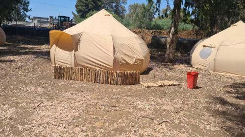 Tlv Camping