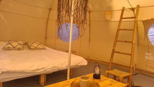 Tlv Camping