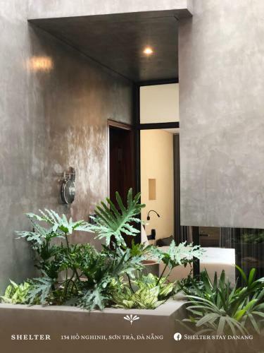 Hotel Shelter Stay Da Nang