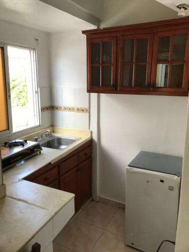 Apartamento Estudio En La Zona Colonial Privada
