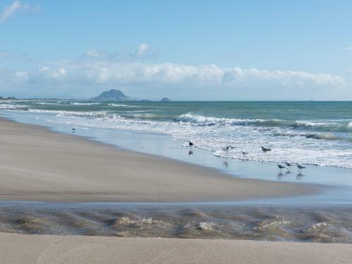 A Beach Barn Haven - Papamoa Holiday Home