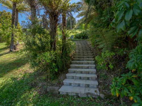 Breakaway - Tairua Bach