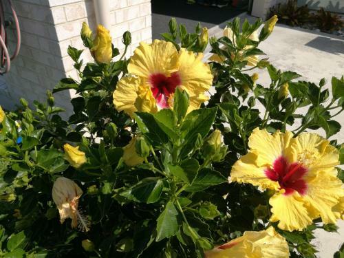 Modern Beach Break - Waihi Beach Holiday Home