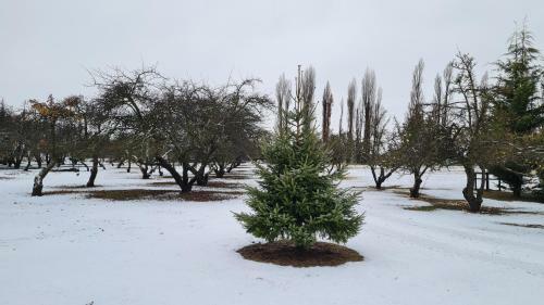 The Orchard House, Wanaka