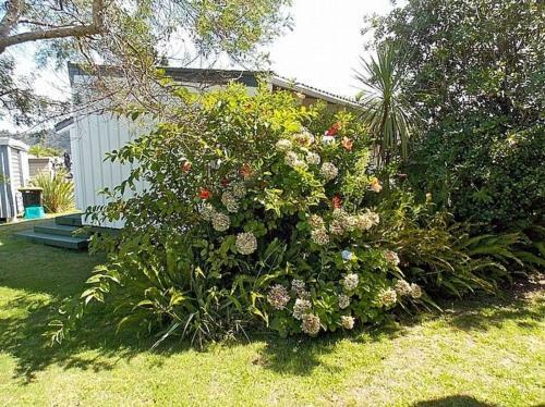 Hibiscus Cottage - Whangamata Bach