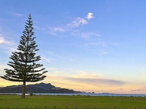 Big Sea Views - Whitianga Unit