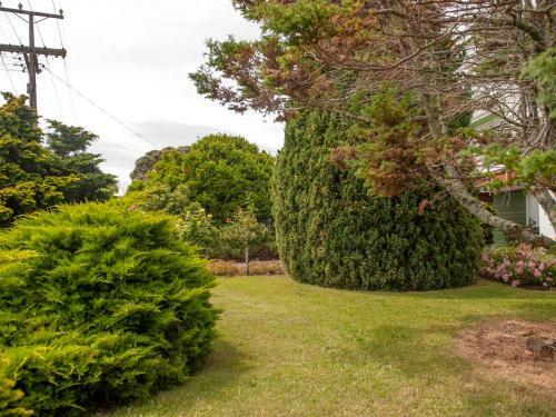 Holiday Haven - Whitianga Bach