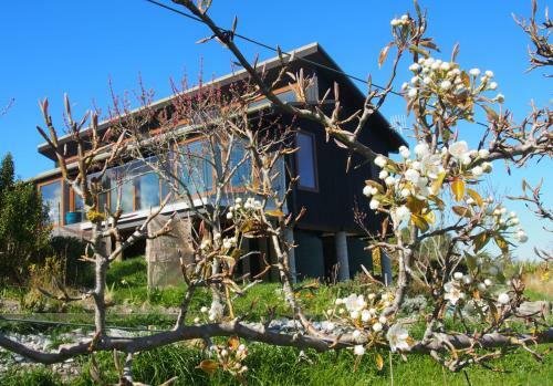 Bed & Breakfast Kotare Bandb