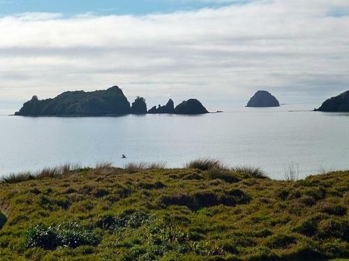 Endless Views - Opito Bay Holiday House