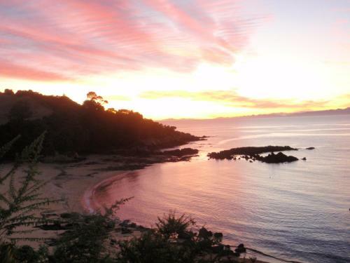 Lodge Beach Front:palms-on-the-beach.kaiteriteri.