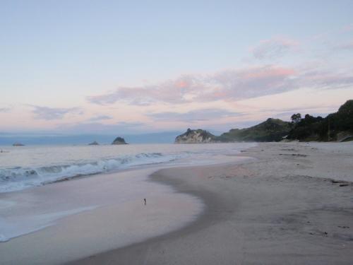 Lodge Beach Front:palms-on-the-beach.kaiteriteri.
