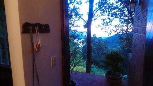 Caba�a Con Jacuzzi
