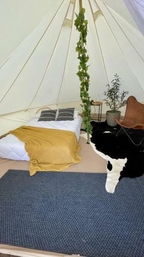 Vdg Glamping