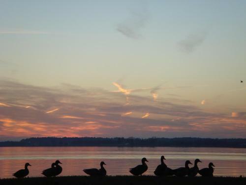 Bed & Breakfast Sandaway Waterfront Lodging
